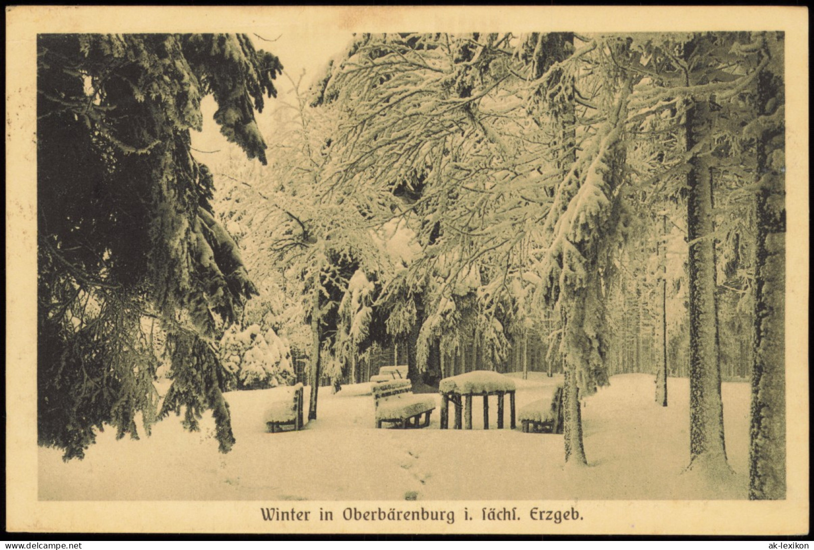 Oberbärenburg-Altenberg (Erzgebirge) Winterlandschaft, Rastplatz Im Wald 1926 - Altenberg