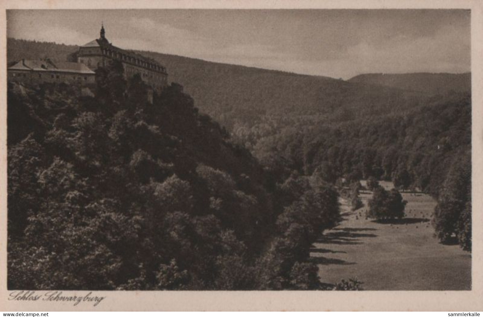 38618 - Schwarzburg - Schlossmit Hirschwiese - 1930 - Saalfeld