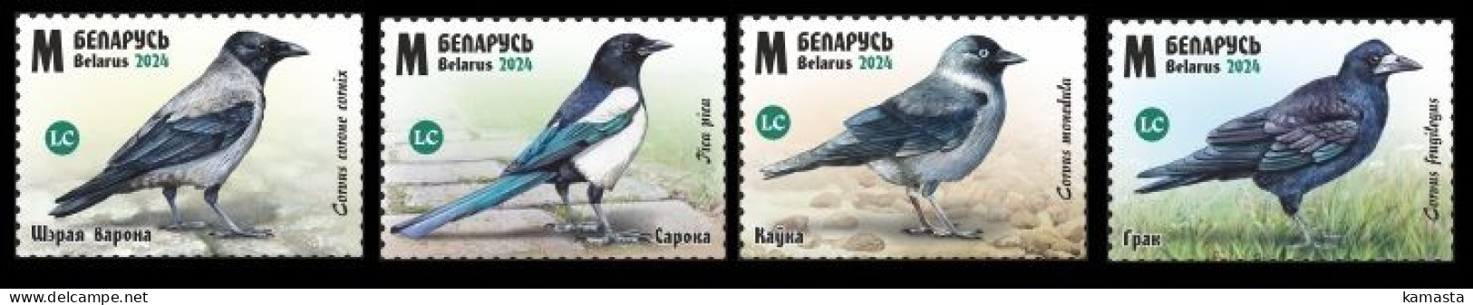 Belarus 2024 Birds Of Belarus. Сorvids. - Bielorussia