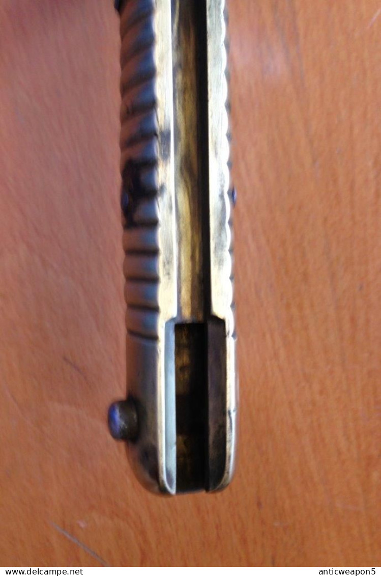 Bayonet for the Chasspo rifle. France. M1866 (644)