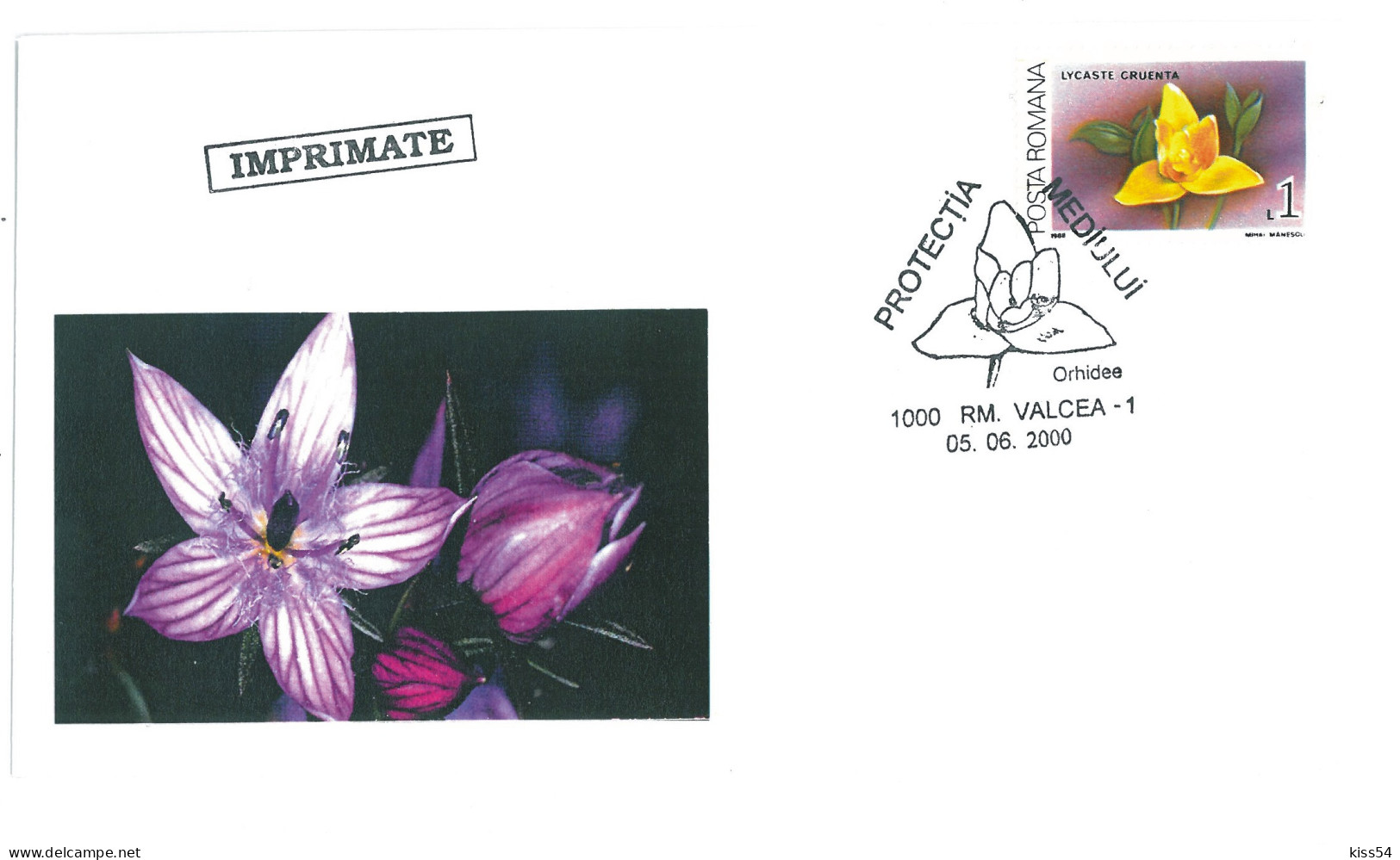COV 998 - 3188 ORCHIDS, Romania - Cover - Used - 2000 - Orchidées