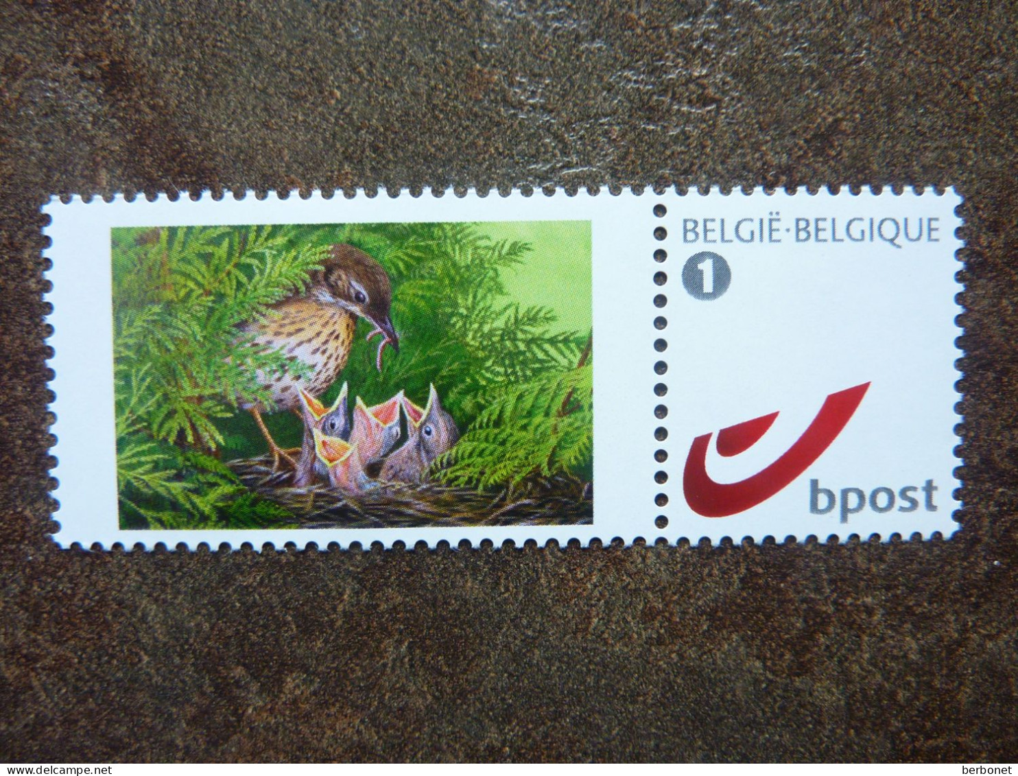 Oisillons Dans Le Nid  ** MNH - 1985-.. Oiseaux (Buzin)