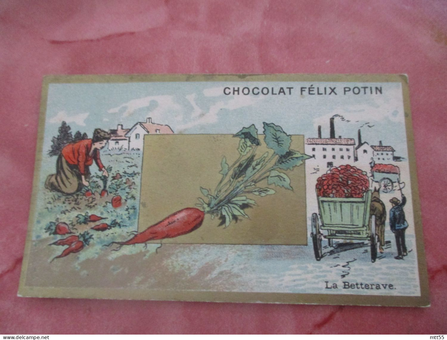 CHOCOLAT FELIX POTIN LOT DE  3  LA BOTANIQUE HOUBLON CANNE A SUCRE BETTERAVE - Aiguebelle