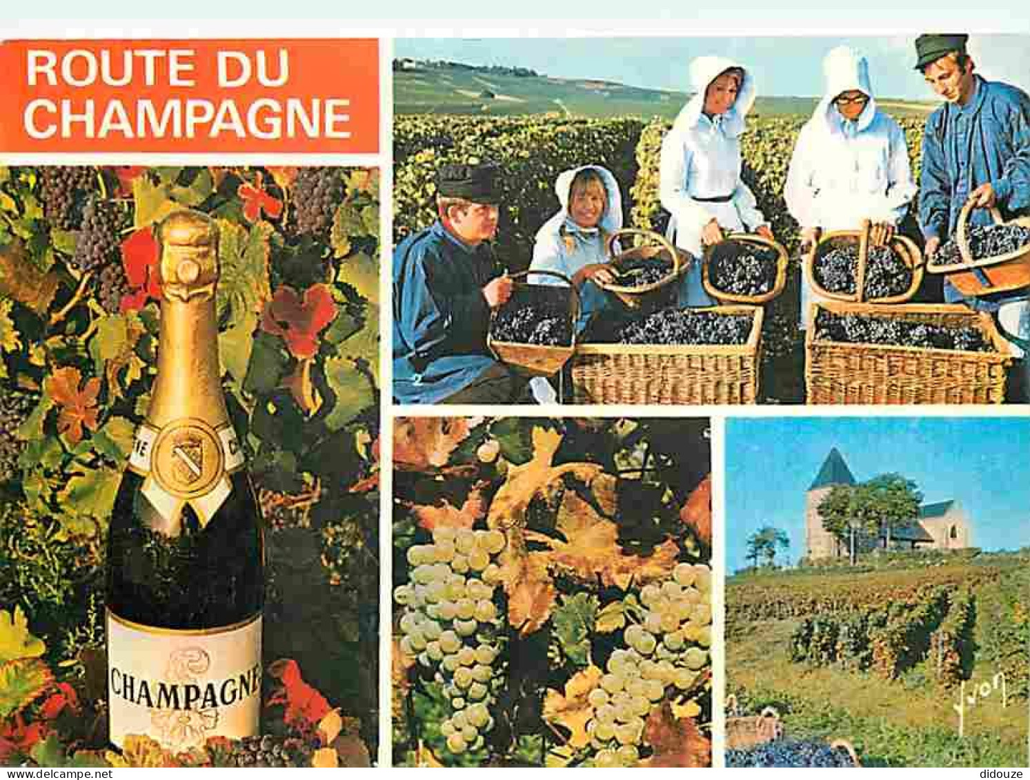 Vignes - La Route Du Champagne - Multivues - Bouteille De Champagne - Vendanges - Raisins - CPM - Voir Scans Recto-Verso - Wijnbouw
