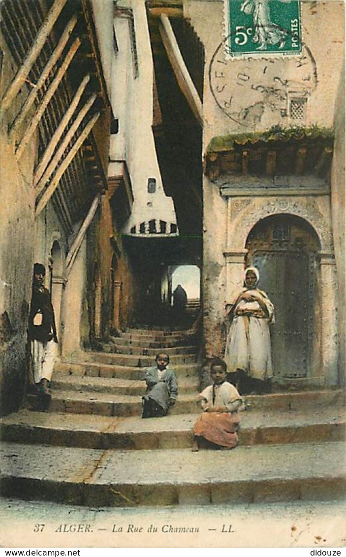 Algérie - La Rue Du Chameau - Animée - Colorisée - CPA - Voir Scans Recto-Verso - Escenas & Tipos