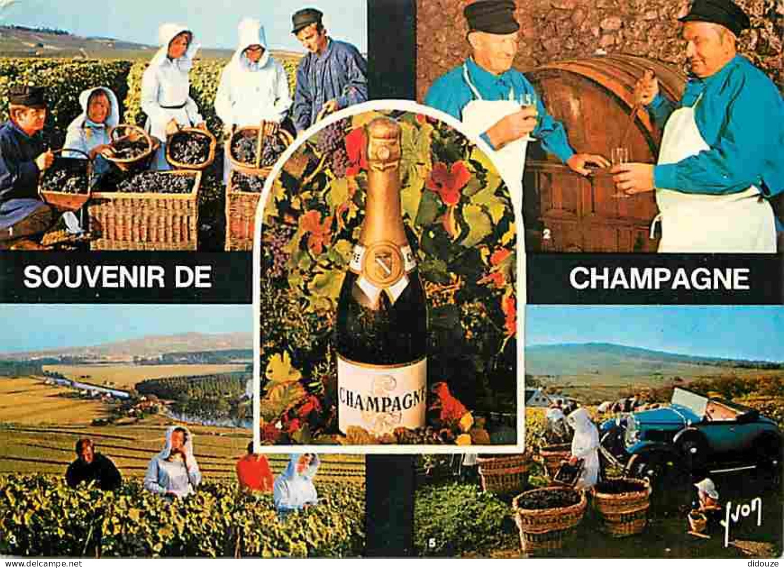 Vignes - Champagne - Multivues - Bouteille De Champagne - Vendanges - Chais - Comportes - Flamme Postale De Epernay - CP - Wijnbouw