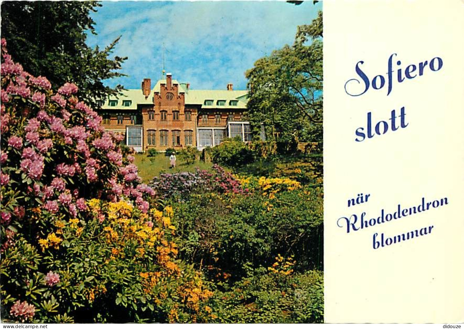 Suède - Sverige - Sofiero Slott, Helsingborg - Kung Gustav VI Adolfs Rhododendronodlingar - Fleurs - CPM - Voir Scans Re - Schweden