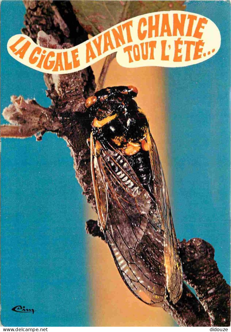 Animaux - Insectes - Cigale - Carte à Message - Humoristique - CPM - Voir Scans Recto-Verso - Insects