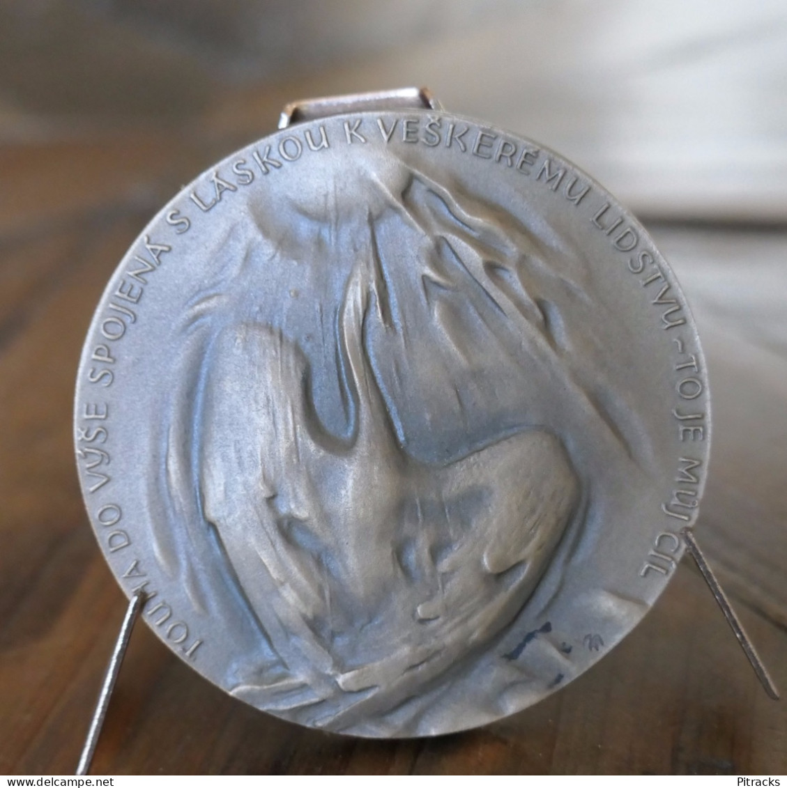 Médaille Collection BOZENA NEMCOVA 1820 1862 Ecrivaine Tcheque  Signée M Knodloch - Altri & Non Classificati