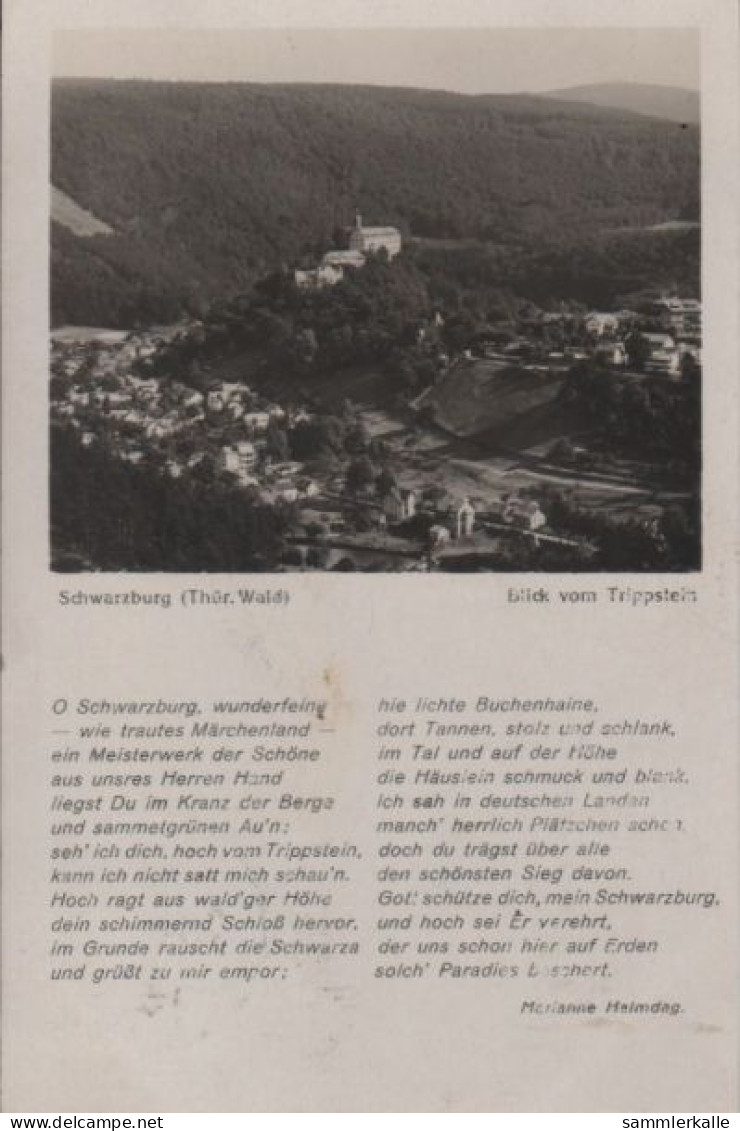 60726 - Schwarzburg - Blick Com Trippstein - 1930 - Saalfeld
