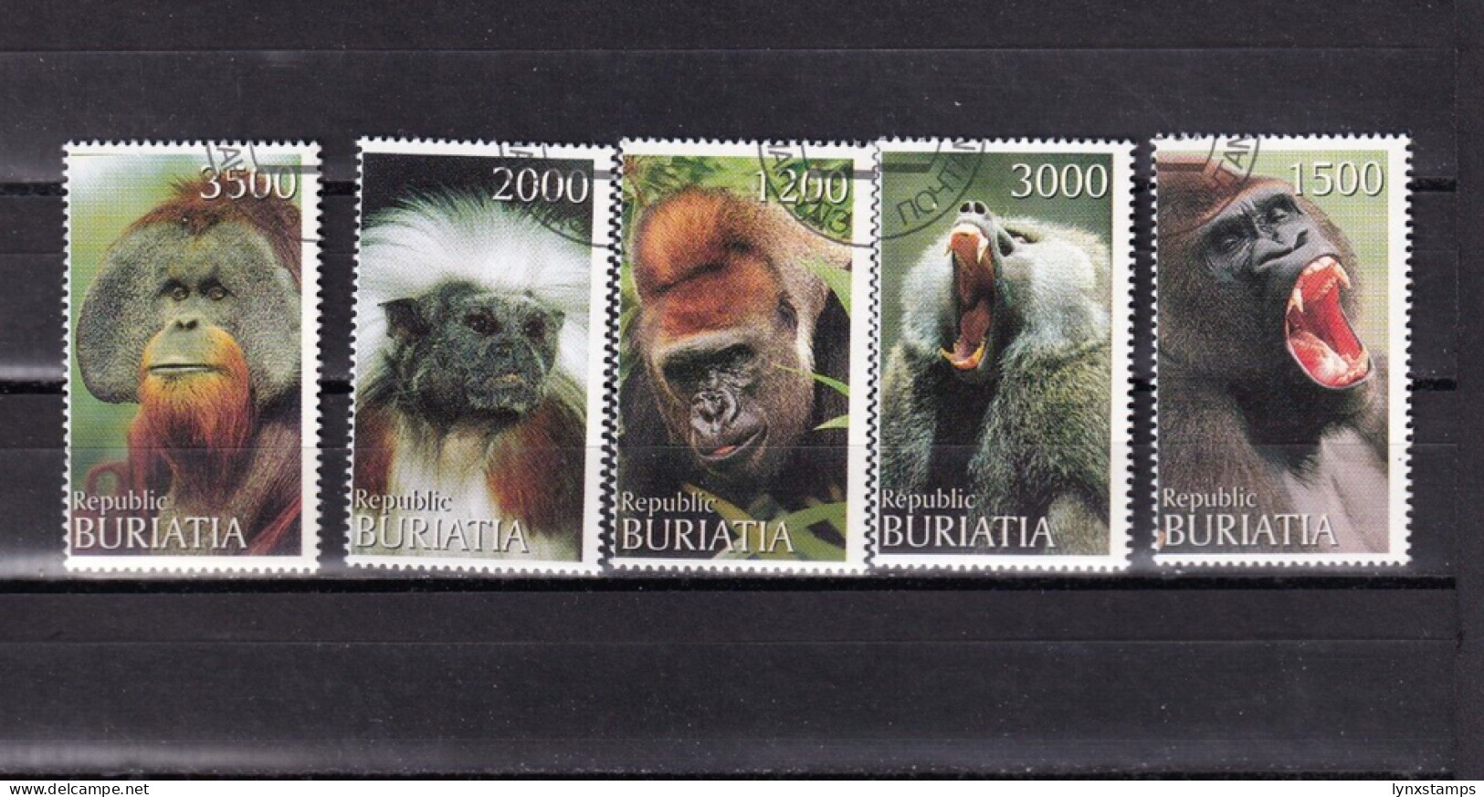 SA03 Russia Buryatia 1997 Gorillas Cinderella Stamps - Chimpanzees