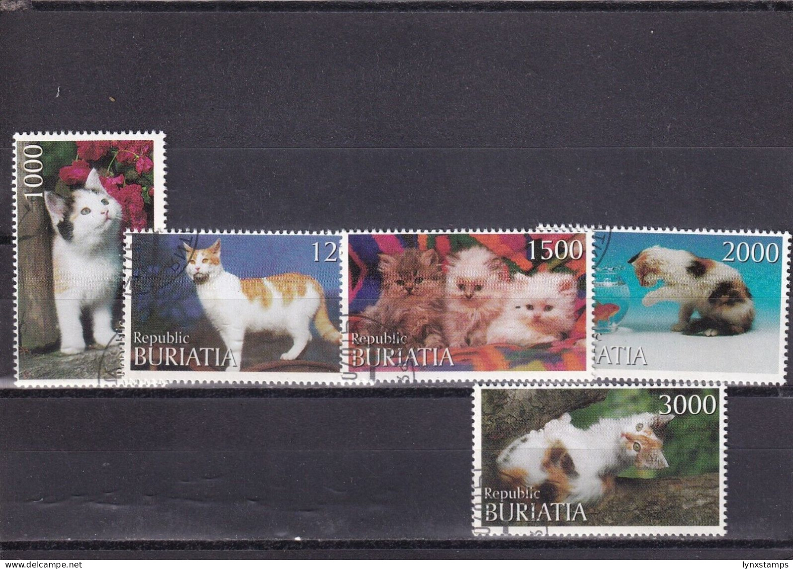 SA03 Russia Buryatia 1997 Little Cats Cinderella Stamps - Hauskatzen