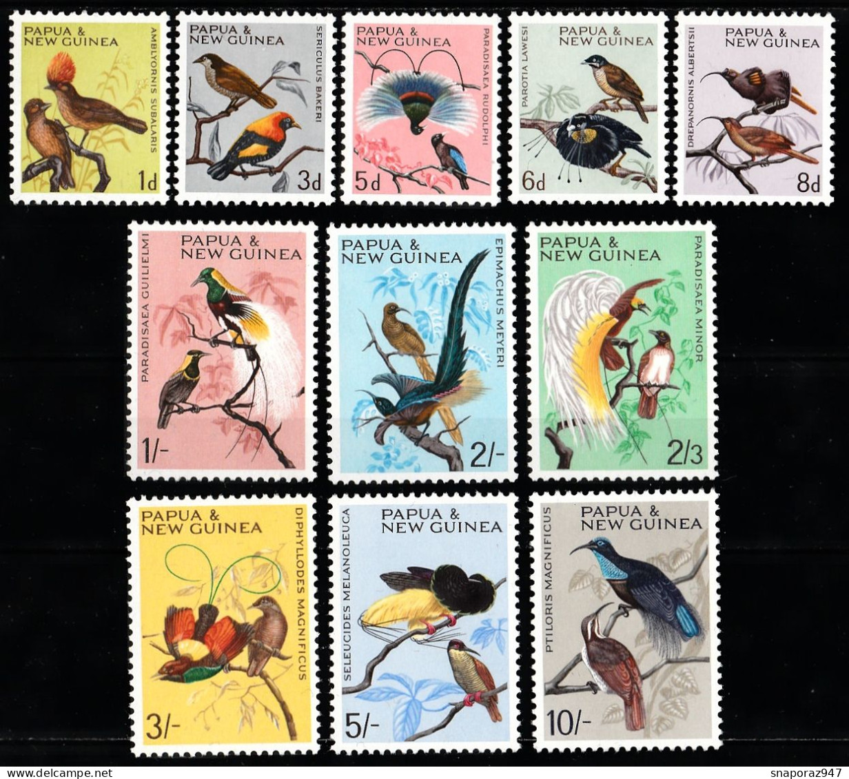 1964/65 Papua New Guinea Birds Of Paradise Definitive Ordinary Set MNH** Tr131 - Songbirds & Tree Dwellers