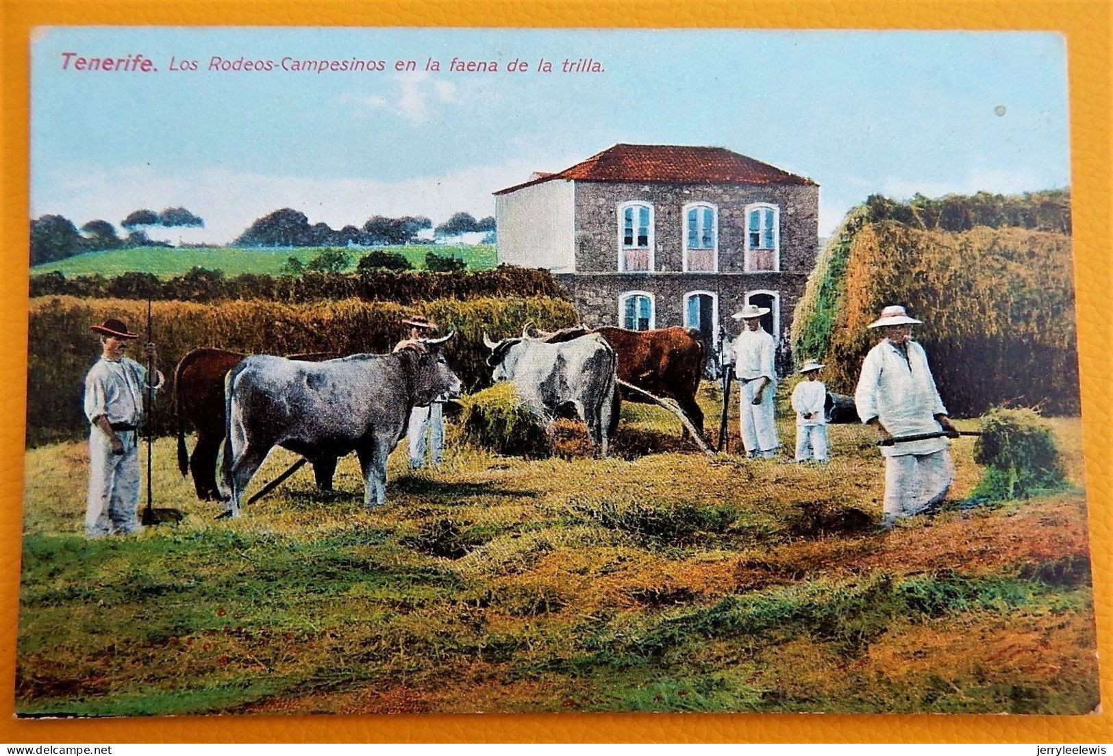 TENERIFE -   Los Rodeos-Campesinos En La Faena De La Trilla - Tenerife