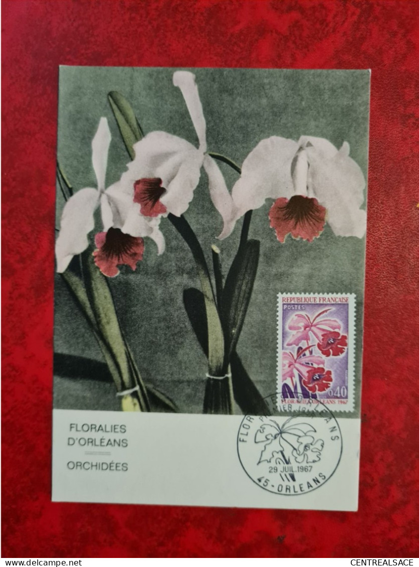 FDC 1967 MAXI ORLEANS FLORALIES - Ohne Zuordnung