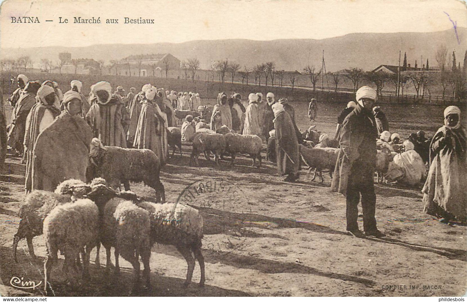 ALGERIE  BATNA  Le Marché Aux Bestiaux - Batna