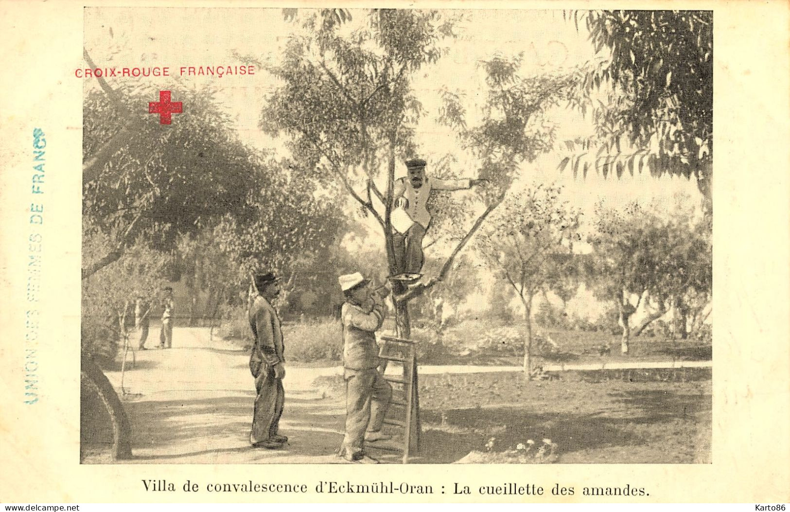 Eckmühl Oran , Algérie * Villa De Convalescence , Cueillette Des Amandes * Union Femmes Françaises Croix Rouge - Oran