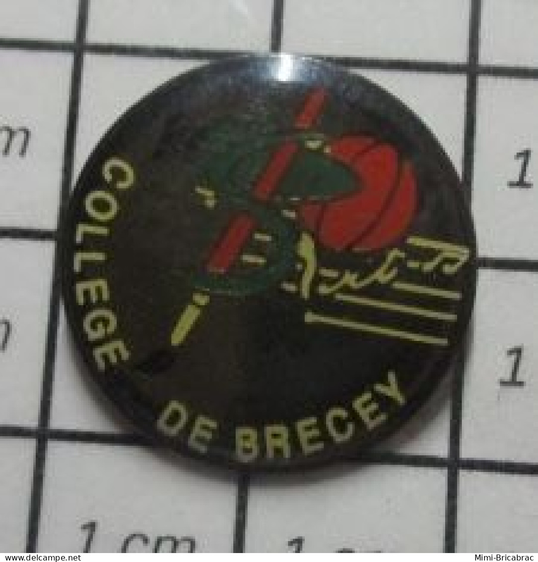 613d Pin's Pins / Beau Et Rare / ADMINISTRATIONS / COLLEGE DE BRECEY - Amministrazioni