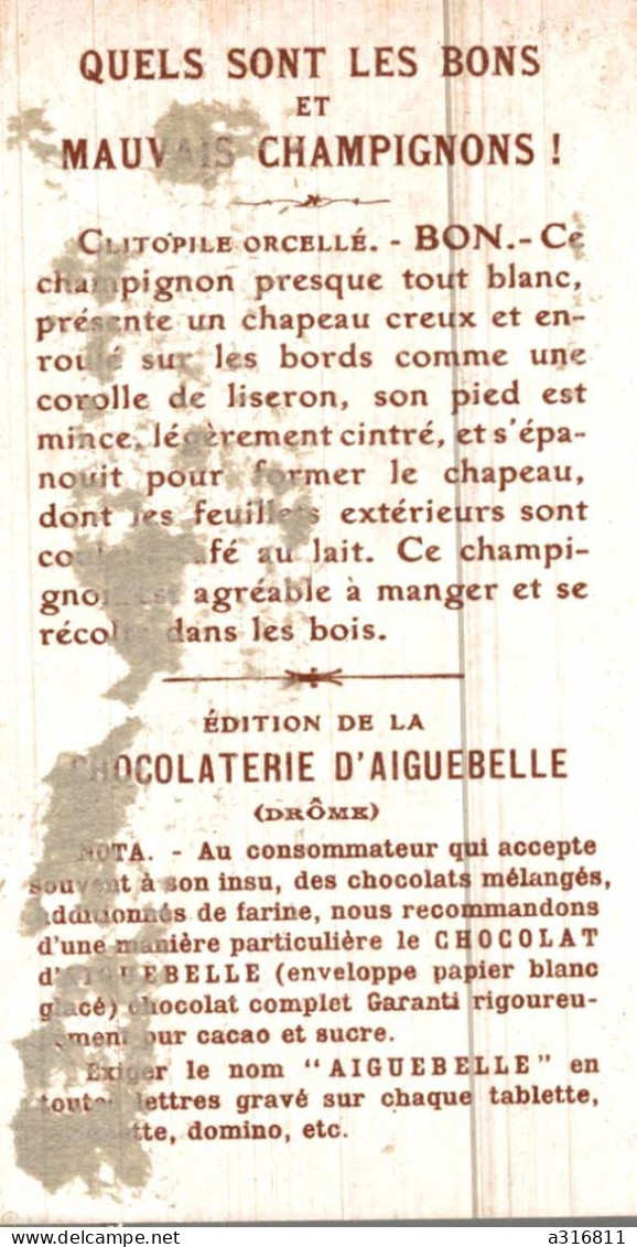 Chocolat D Aiguebelle - Aiguebelle