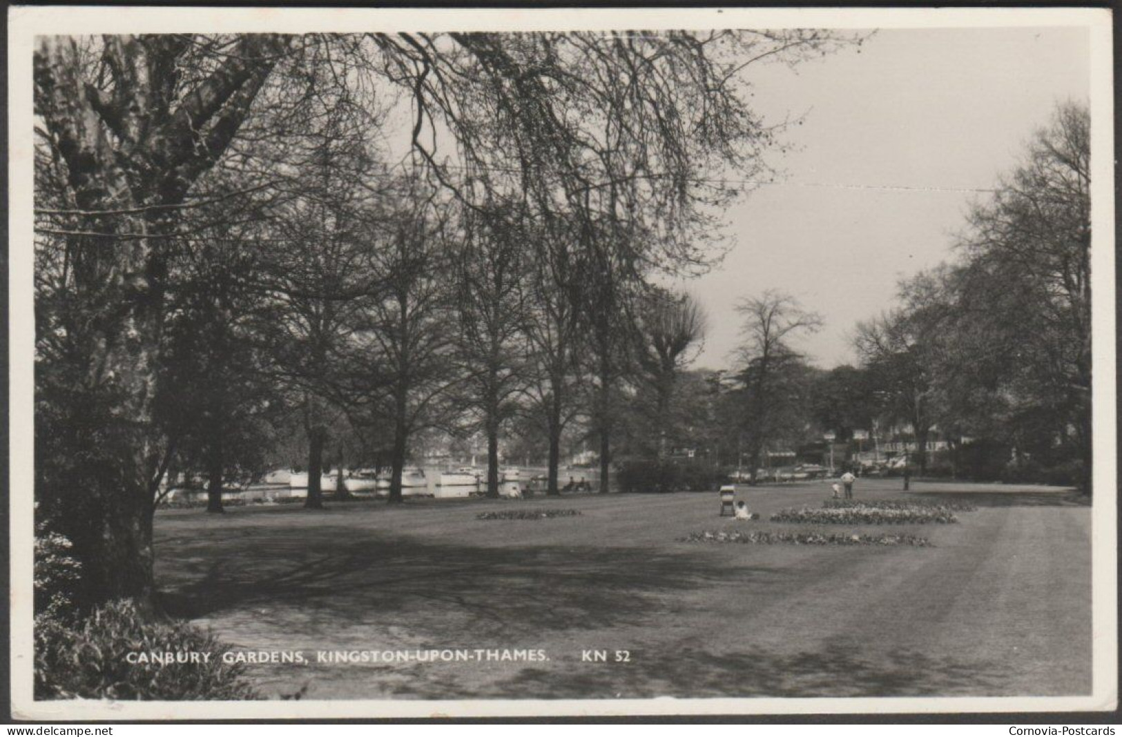 Canbury Gardens, Kingston-upon-Thames, Surrey, 1961 - Coward RP Postcard - Surrey