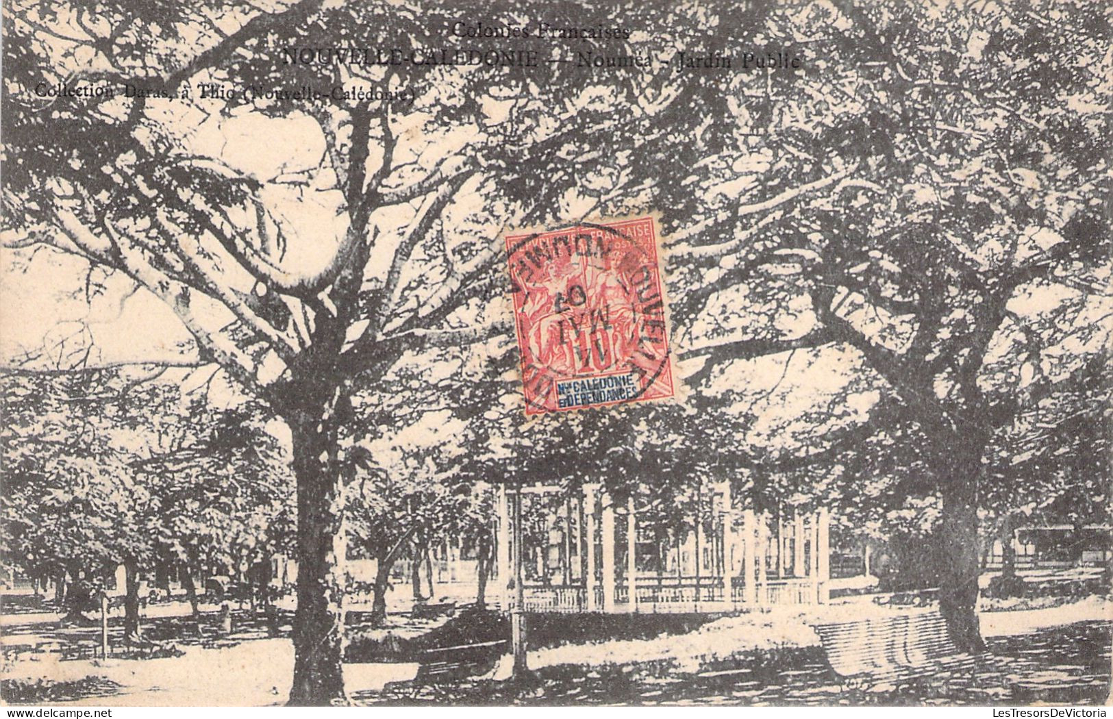 NOUVELLE CALEDONIE - Noumea - Jardin Public  - Carte Postale Ancienne - Nuova Caledonia