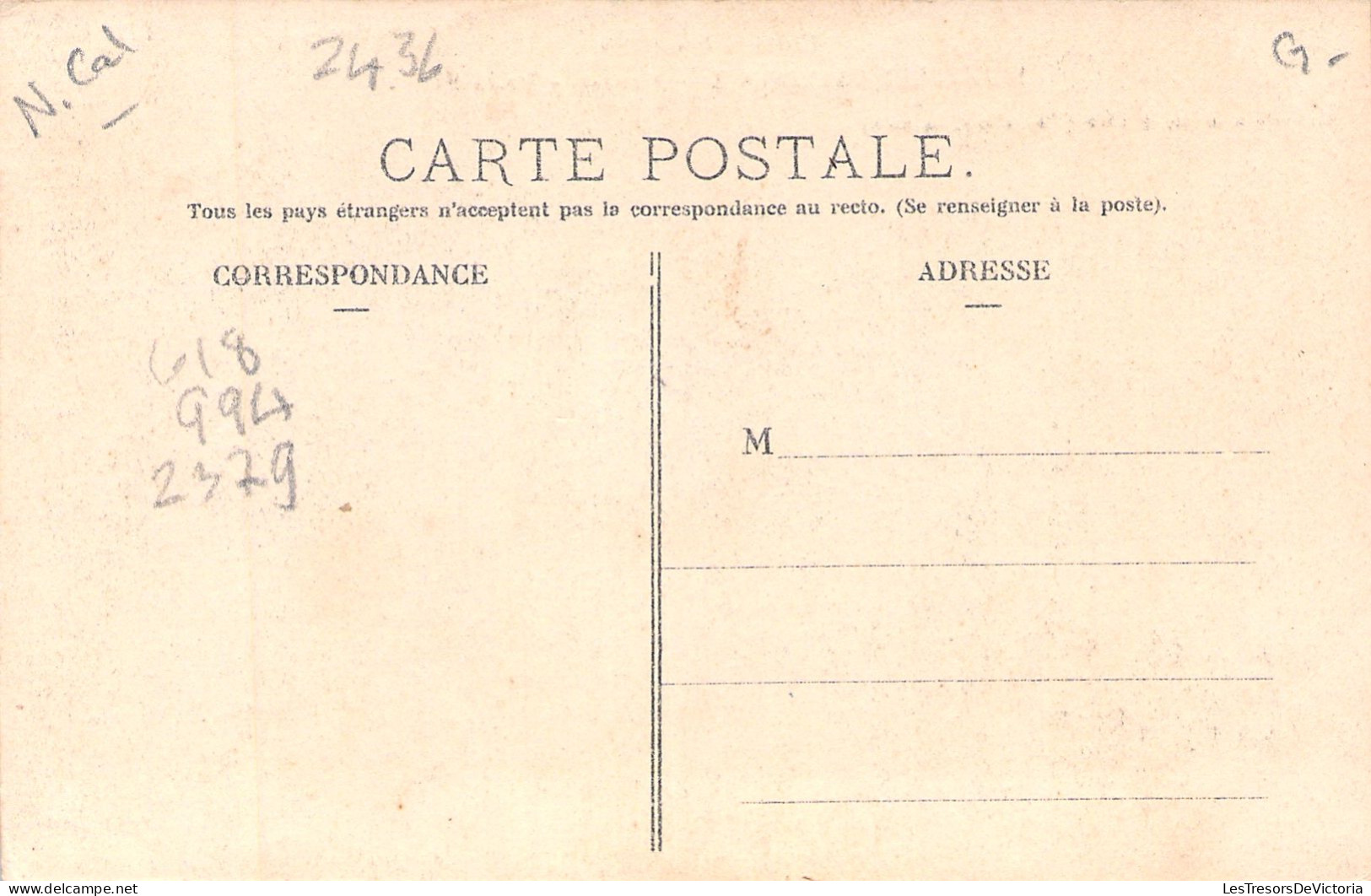NOUVELLE CALEDONIE - Noumea - Jardin Public  - Carte Postale Ancienne - New Caledonia