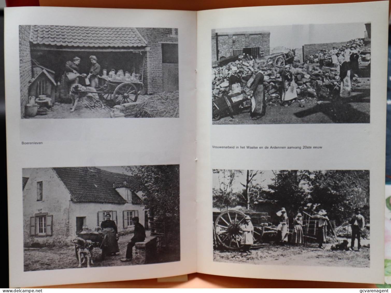 150 JAAR BELGIE - VOLKSLEVEN 1830 - 1980 = GEBRUIKTE STAAT - 143 BLZ -  24 X 17 CM    ZIE  AFBEELDINGEN - Geschichte