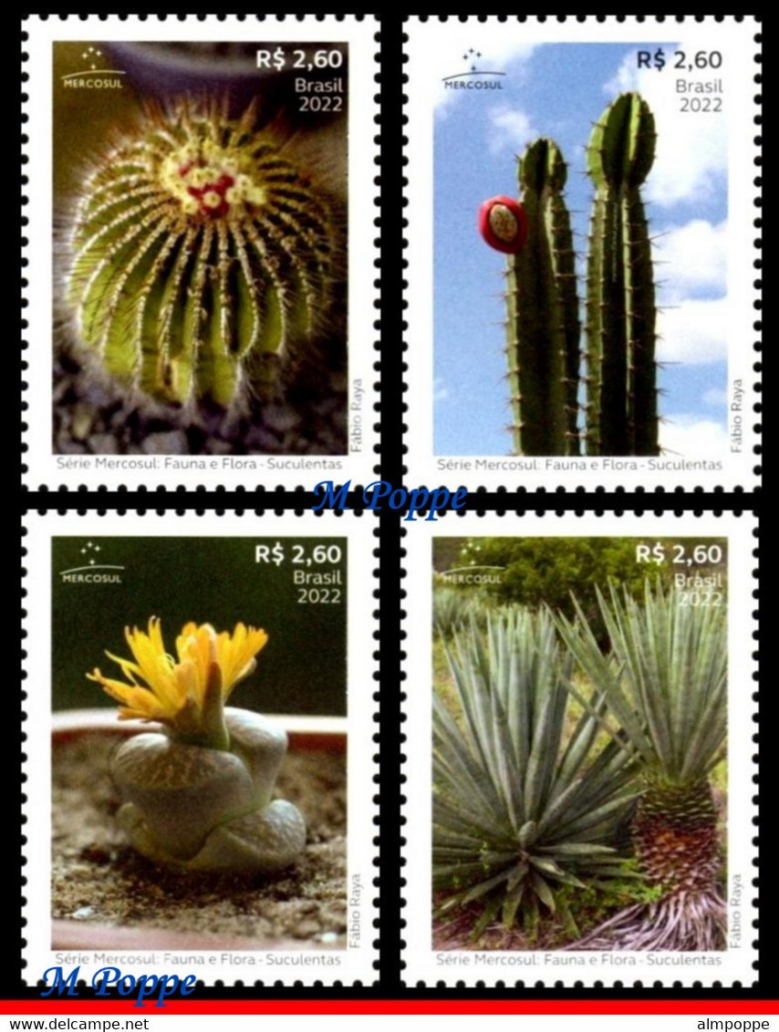 Ref. BR-V2022-14 BRAZIL 2022 - FAUNA FLORA - SUCCULENTS,MERCOSUL SERIES, CACTUS, SET MNH, FLOWERS, PLANTS 4V - Unused Stamps