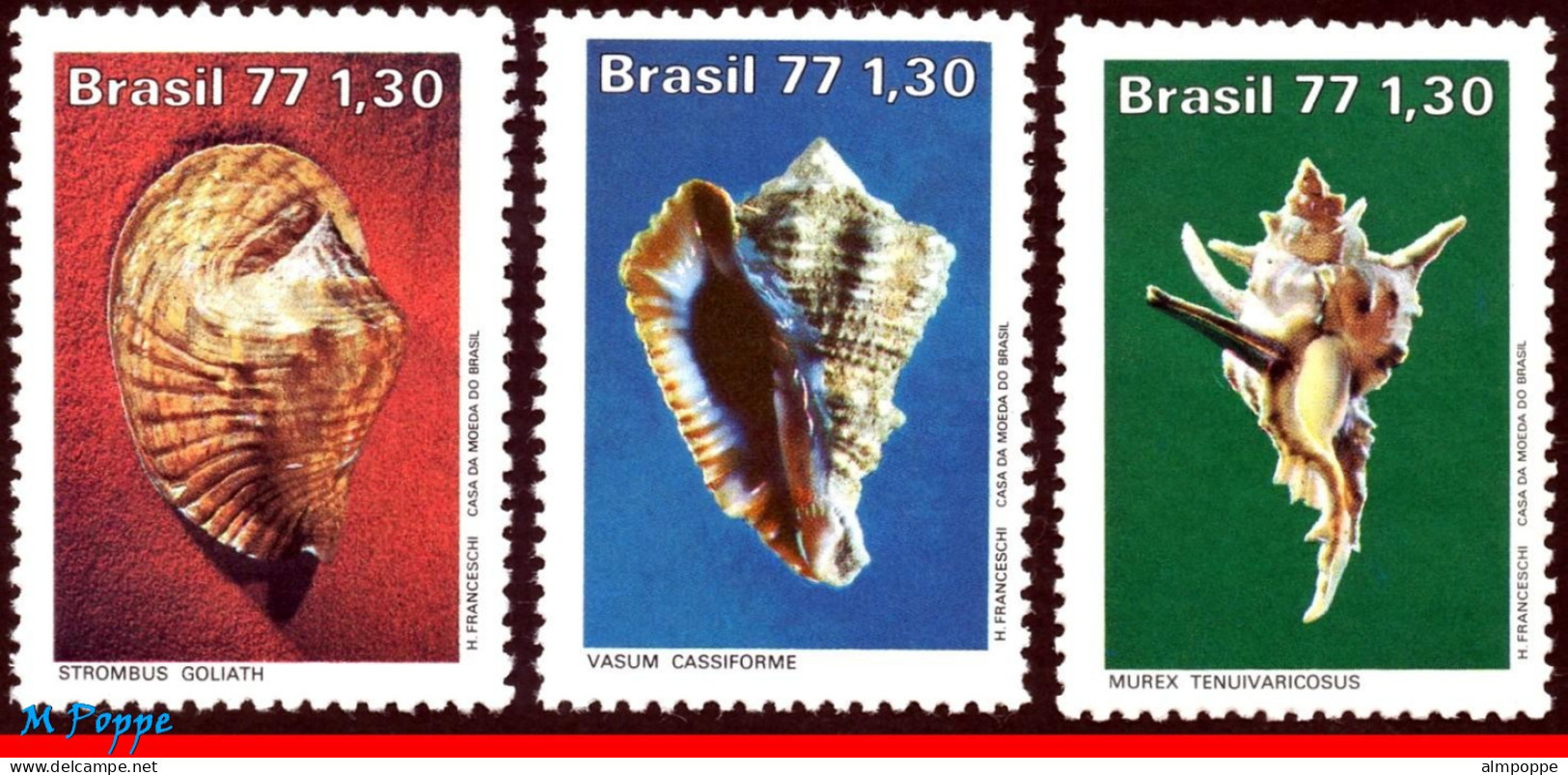 Ref. BR-1513-15 BRAZIL 1977 - SEA SHELLS, MOLLUSC,MI# 1604-06, SET MNH, MARINE LIFE 3V Sc# 1513-1515 - Nuovi