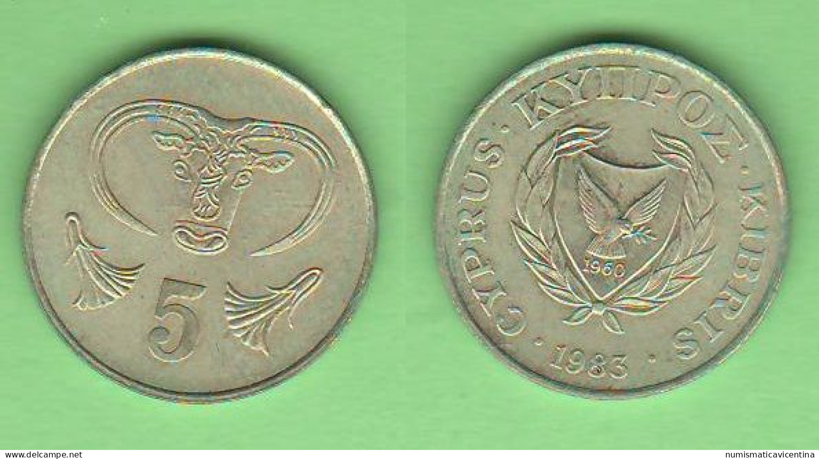 Cipro 5 Cents 1983 Cyprus Chipre Chypre - Cyprus