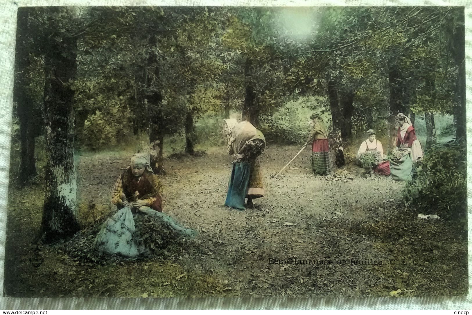 CPA AGRICULTURE LES GLANEUSES DE FEUILLES Groupe De Femmes Dans La Forêt - Cultures