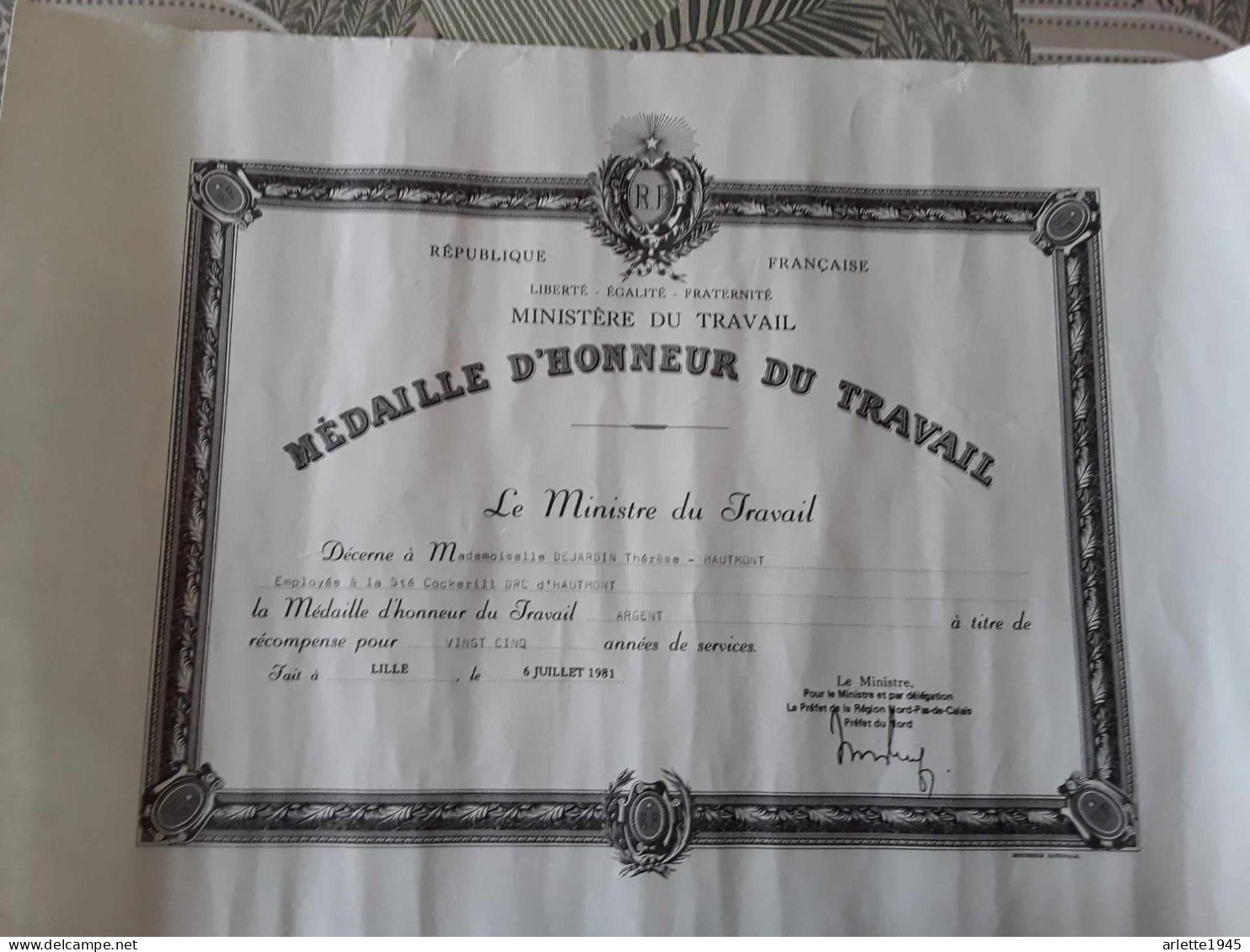 RF MINISTERE DU TRAVAIL MEDAILLE D'HONNEUR DU TRAVAIL STe COCKERILL D R C à HAUTMONT ( NORD) 1981 - Diplome Und Schulzeugnisse