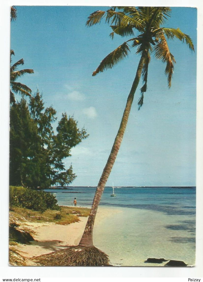 L'Ile Maurice Mauritius Cocotier Témoin D'une Paisible Plage De Grand Bev Afrique - Maurice