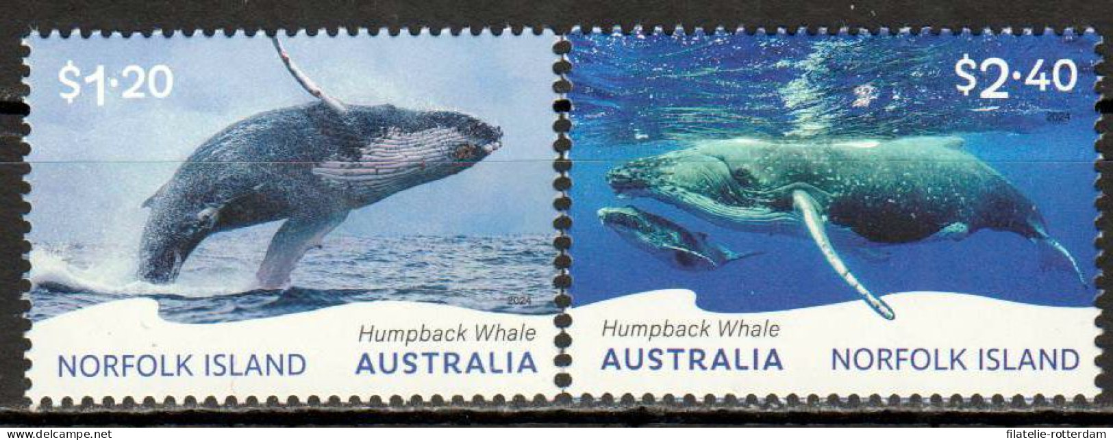 Norfolk Island / Norfolk Eiland - Postfris / MNH - Complete Set Whale 2024 - Norfolk Eiland