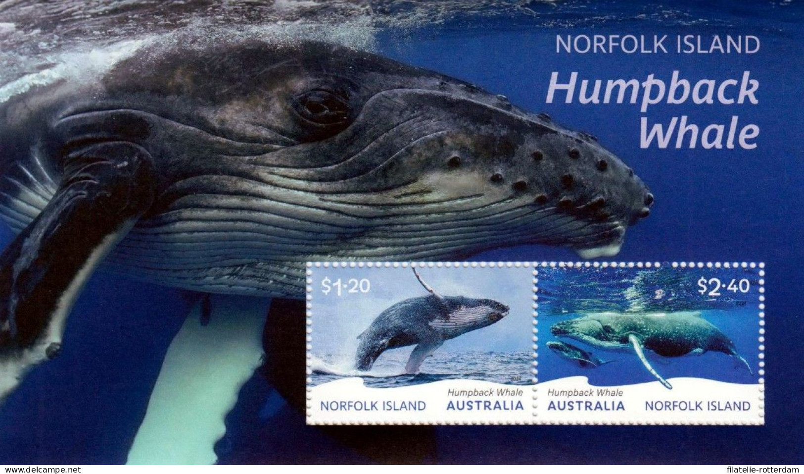 Norfolk Island / Norfolk Eiland - Postfris / MNH - Sheet Whale 2024 - Isola Norfolk