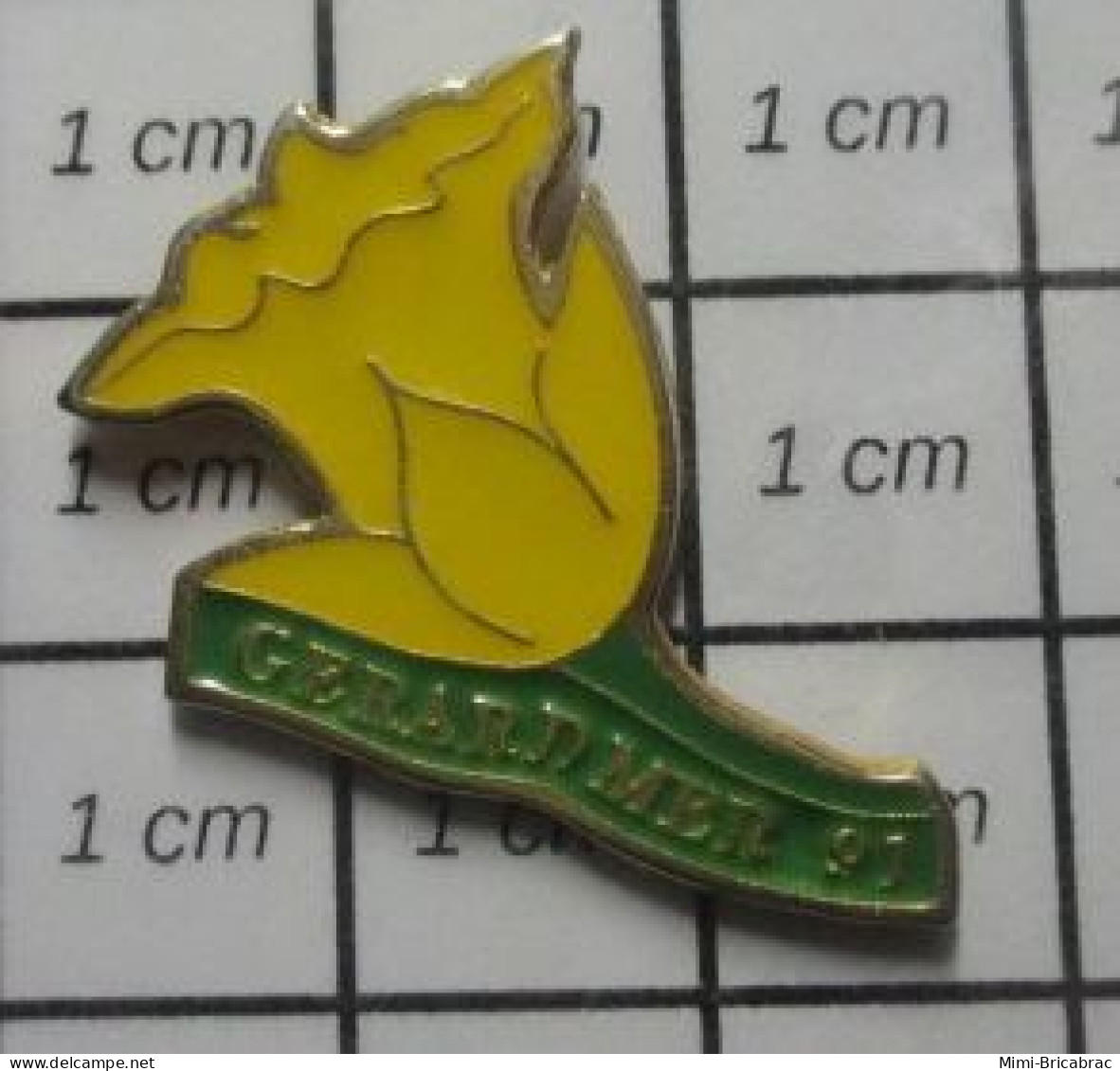 813D Pin's Pins / Beau Et Rare / VILLES / GERARDMER FLEUR JAUNE JONQUILLE ? - Cities