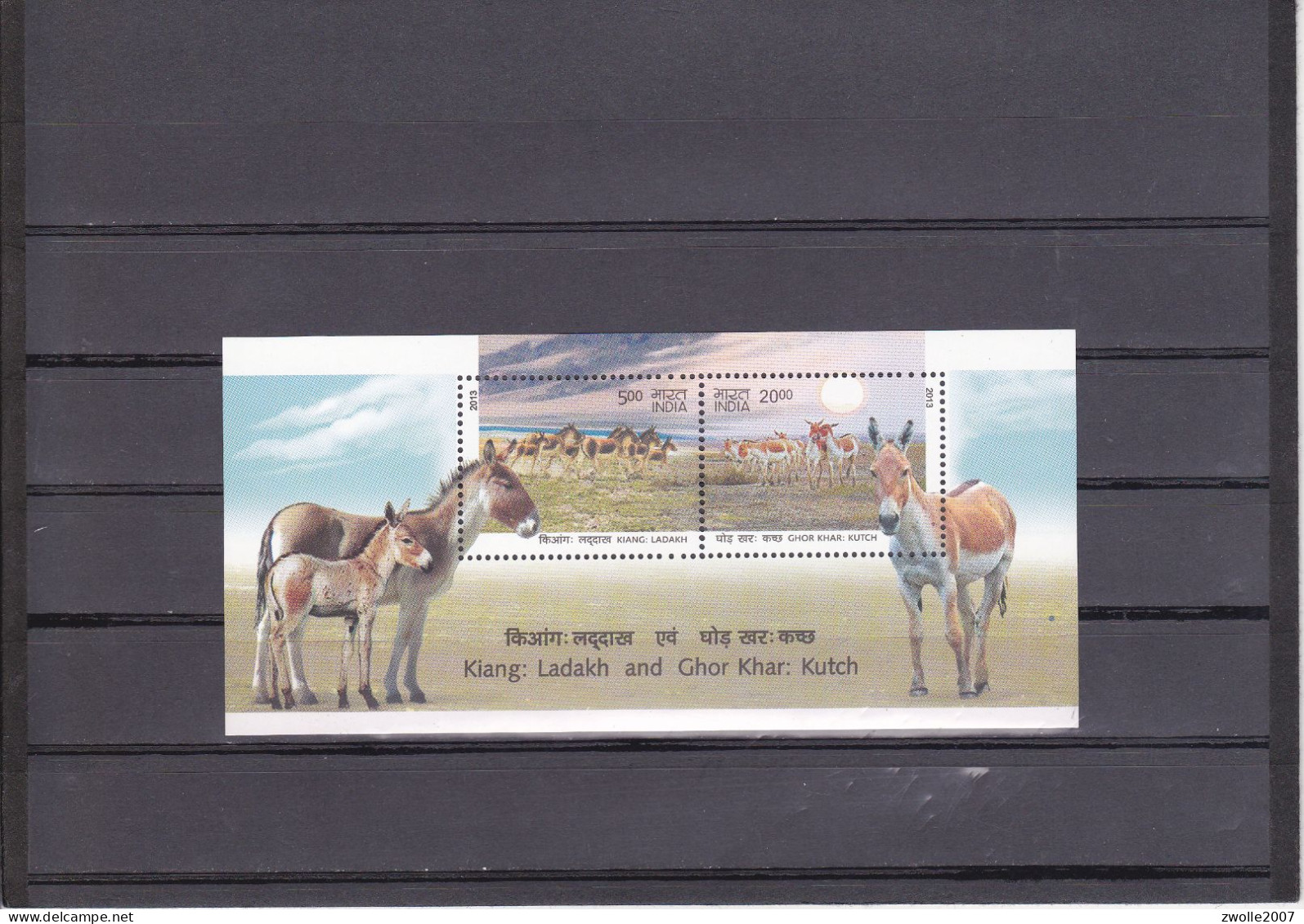 INDIA 2013 Kiang Kutch / Donkey MINIATURE SHEET / Block MNH - Nuovi