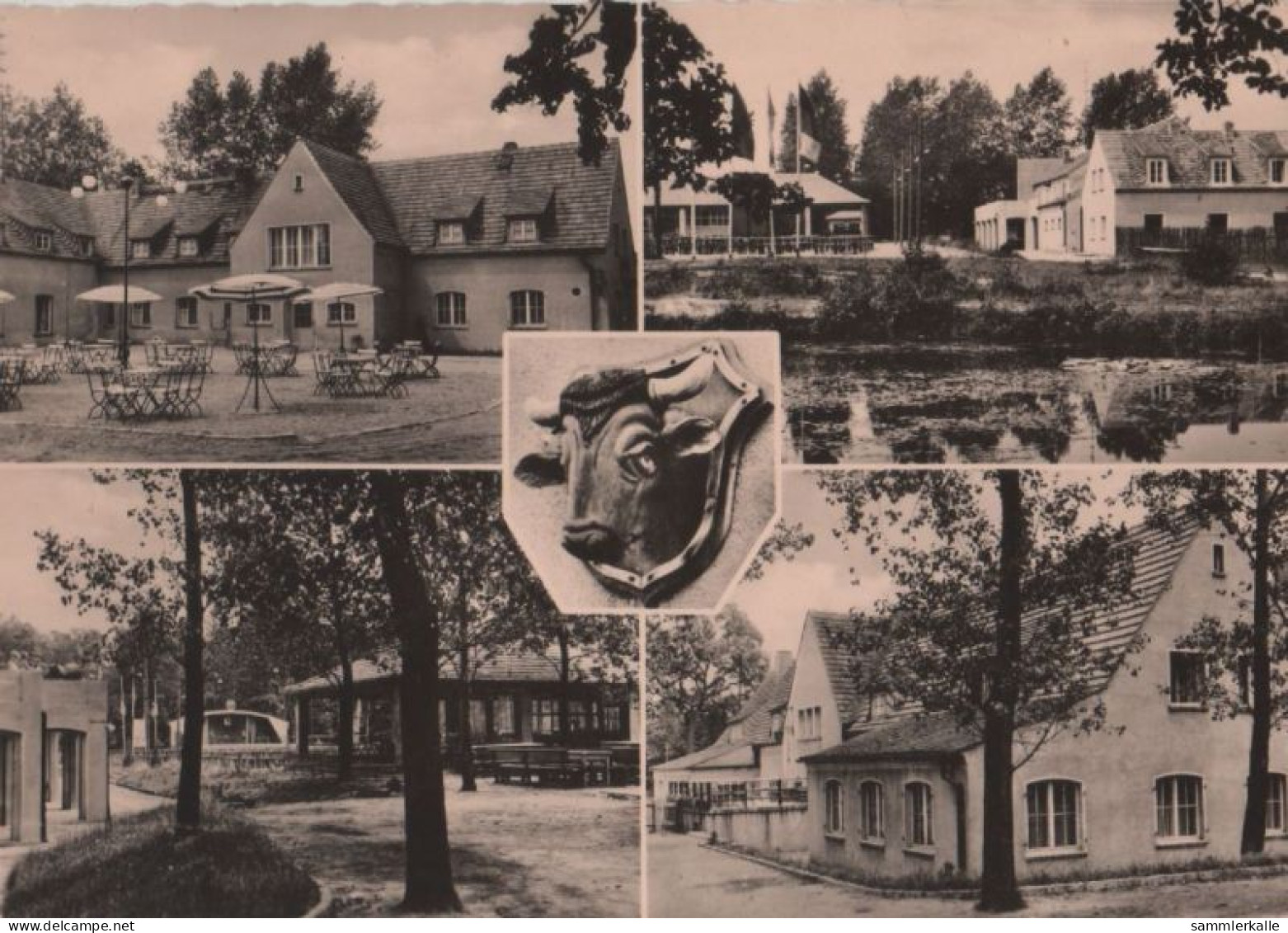83250 - Rotta - Radis, Heidegaststätte Ochsenkopf - 1959 - Wittenberg