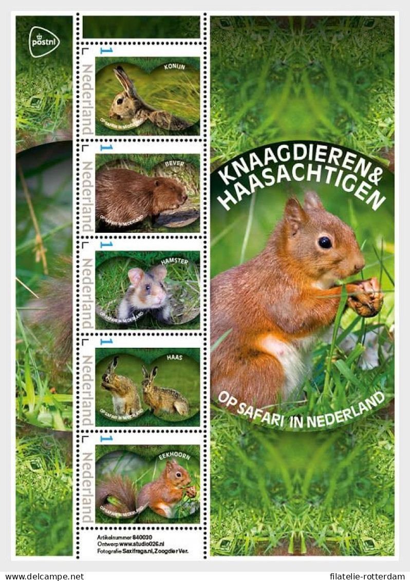 The Netherlands / Nederland - Postfris / MNH - Sheet Rodents And Hares 2024 - Neufs