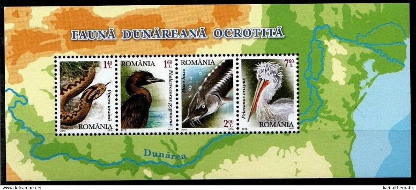 Romania 2010 MNH 4v SS, Dalmatian Pelican, Meadow Viper, European Sturgeon, Birds Reptiles Fish - Sonstige & Ohne Zuordnung