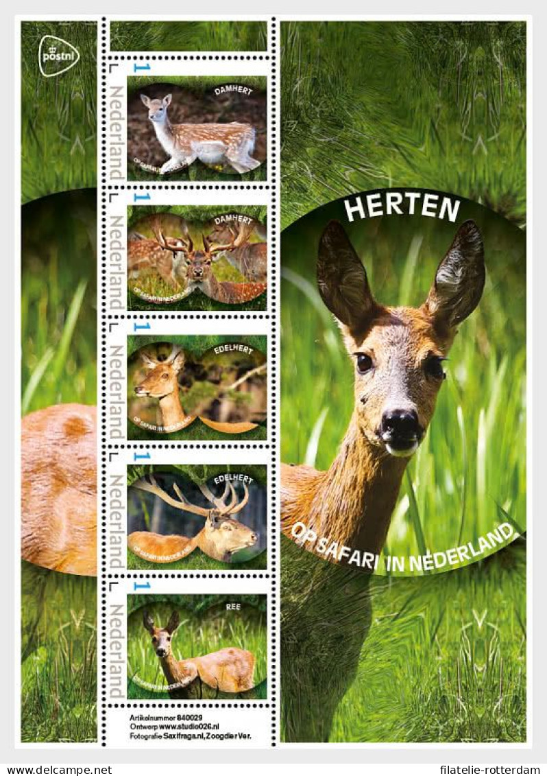 The Netherlands / Nederland - Postfris / MNH - Sheet Deer 2024 - Unused Stamps