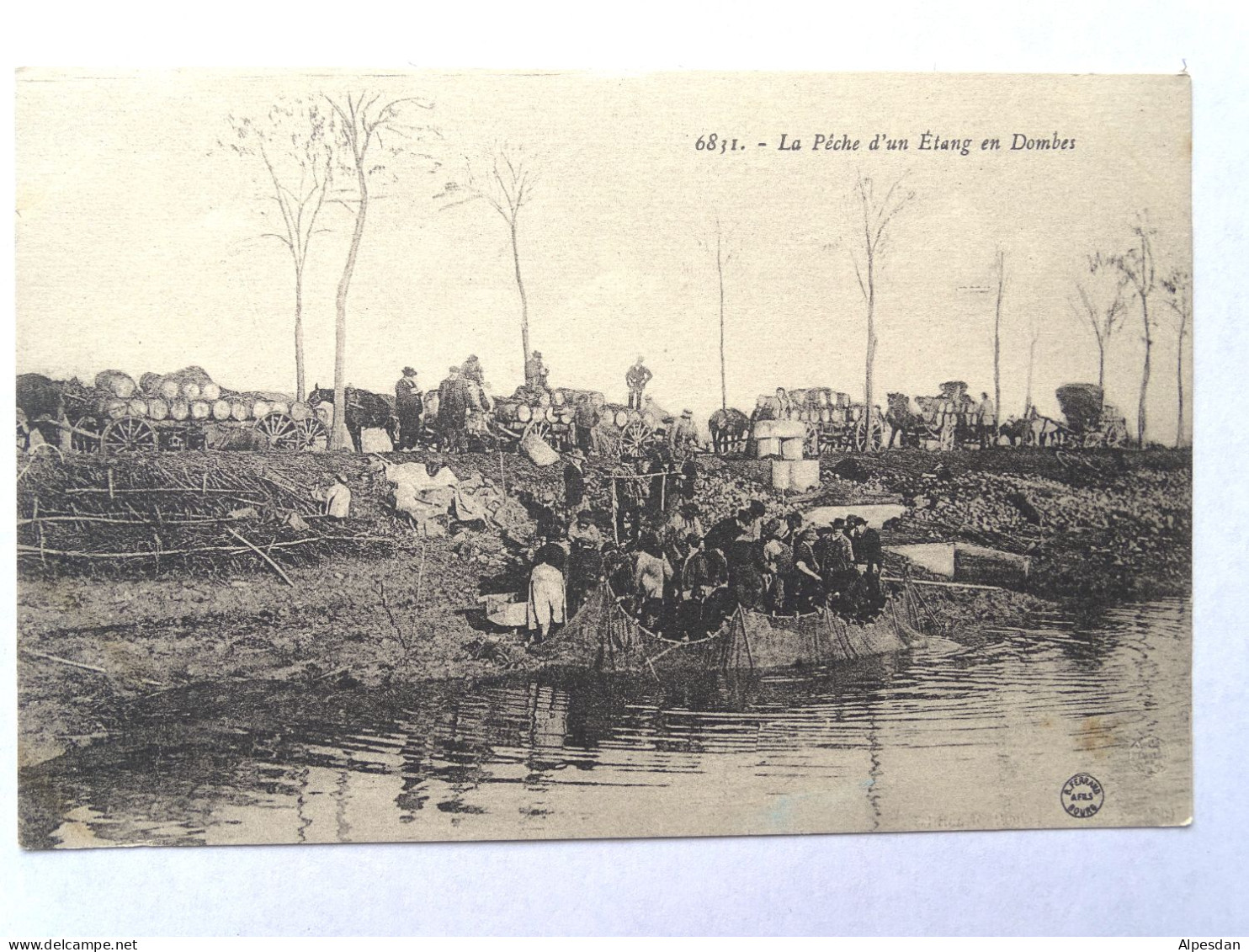 VILLARS-LES-DOMBES. Pêche D'un étang En Dombes - Villars-les-Dombes