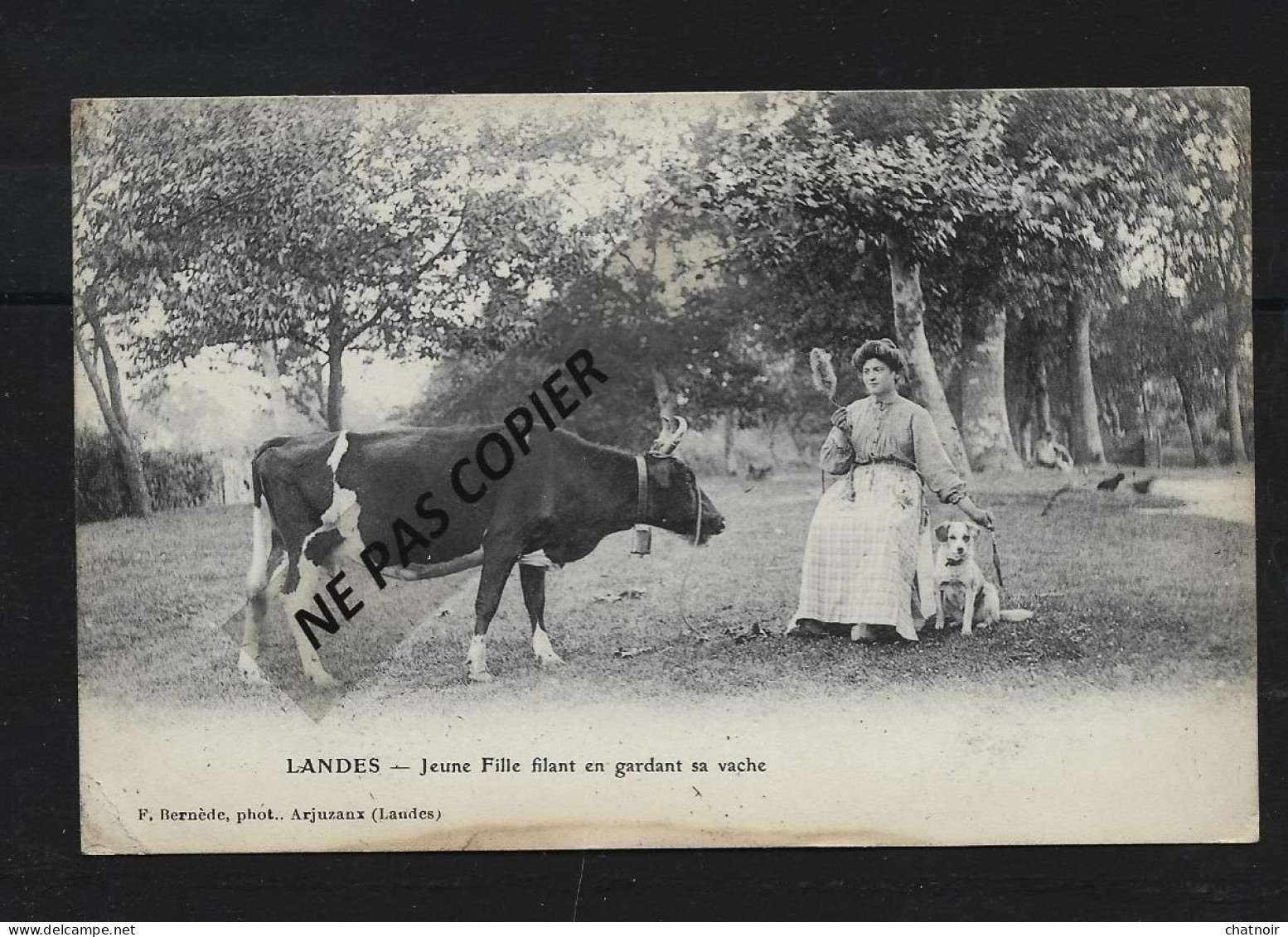 LANDES   Jeune Fille Filant En Gardant Sa Vache / Chien /  Defaut En Bas - Altri