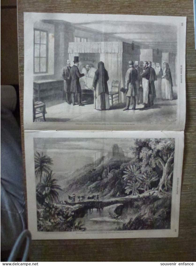 Le Monde Illustré Octobre 1865 Vicomte Palmerston Cap Saint Vincent Madagascar Marie Galante - Revues Anciennes - Avant 1900