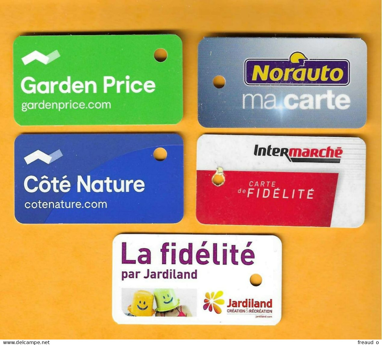 Carte De Fidélité - Lot De 5 Cartes Différentes - - Gift Cards