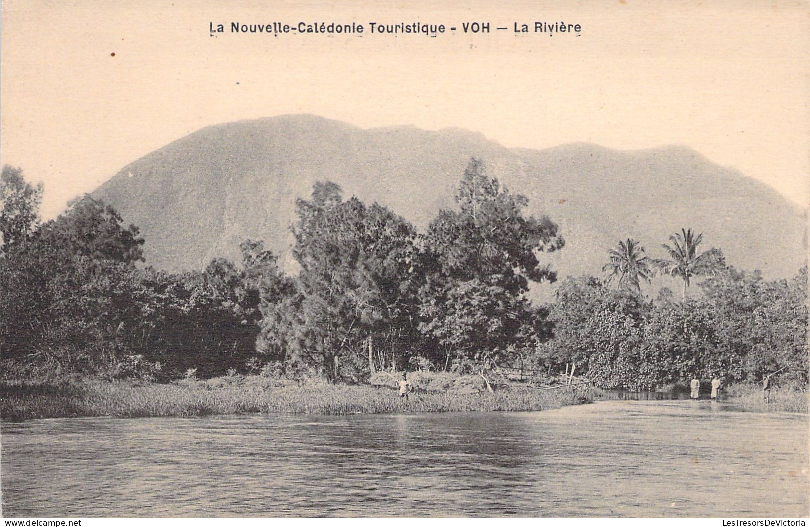 NOUVELLE CALEDONIE - Touristique - Voh - La Riviere - Carte Postale Ancienne - Nieuw-Caledonië