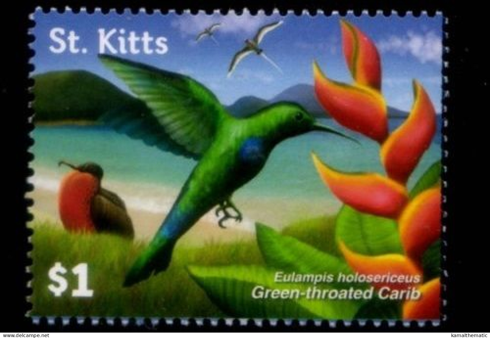 St. Kitts 2015 MNH, Green Throated Carib, Hummingbirds - Colibrì