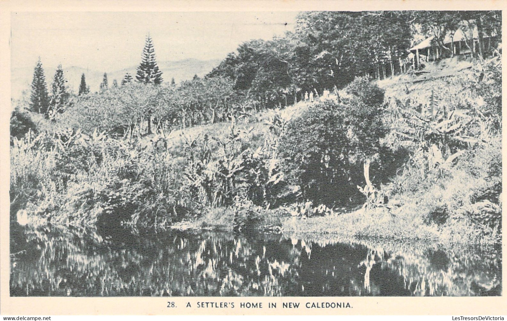 NOUVELLE CALEDONIE - A Settler's Home In New Caledonia - Carte Postale Ancienne - Nieuw-Caledonië