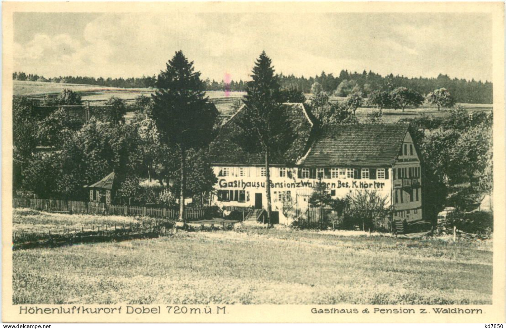 Dobel - Gasthaus Zum Waldhorn - Calw