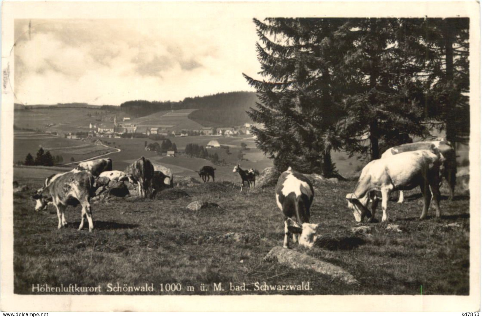 Schönwald Im Schwarzwald - Villingen - Schwenningen